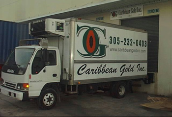 Caribbean Gold Inc